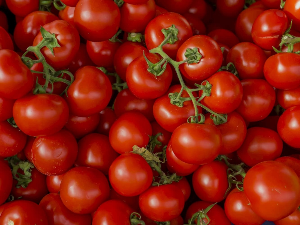 Rote Tomaten Erdbeerland Ernst & Funck