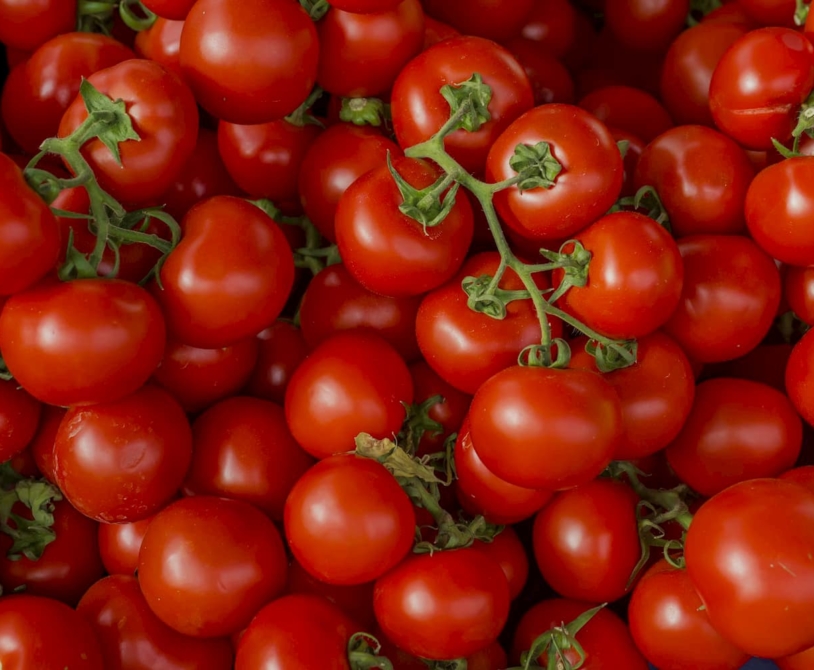 Rote Tomaten Erdbeerland Ernst & Funck