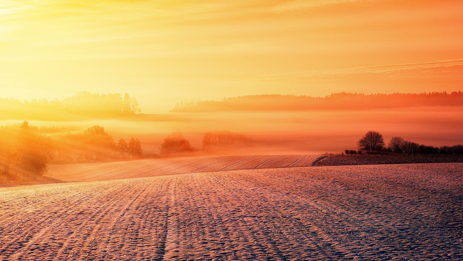 Erdbeerfeld im Winter bei Sonnenaufgng Erdbeerland Ernst & Funck