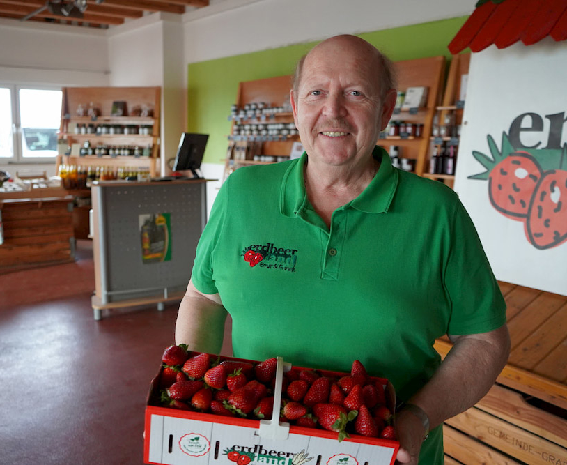 Erdbeerverkäufer mit frischen Erdbeeren im Saarland bei Erdbeerland Ernst