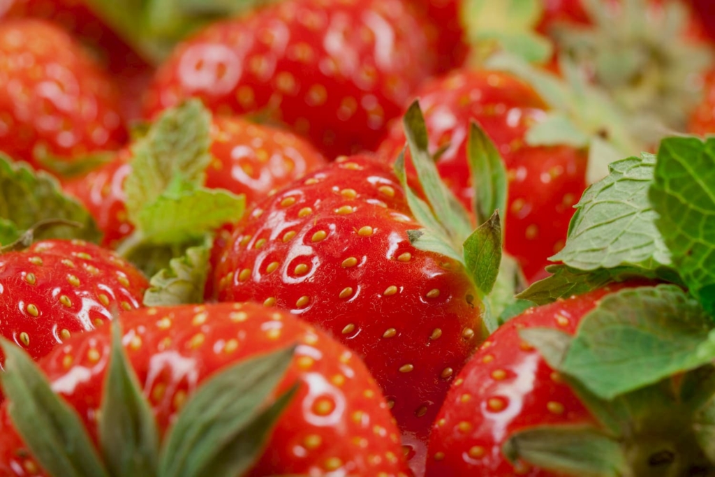 Frische saarländische Erdbeeren aus eigenem Anbau
